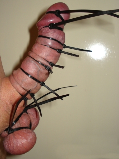 18 Cock And Ball Torture Pictures