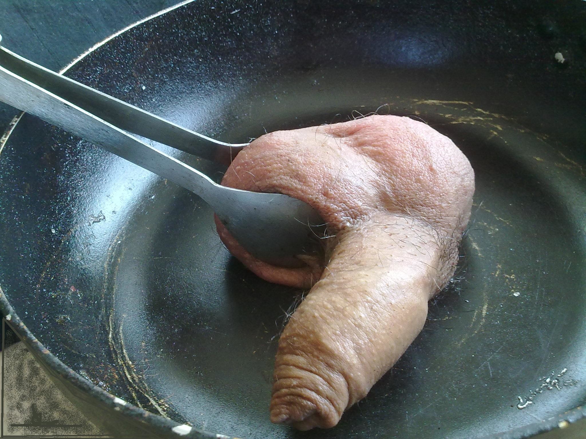 2048px x 1536px - Roasted Penis - Porn Online