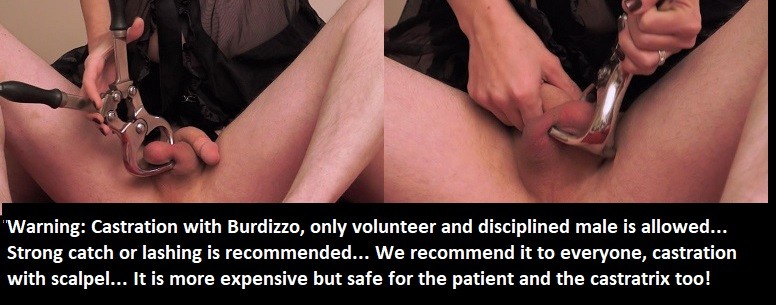 Femdom Castration With Burdizzo 5