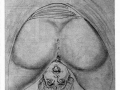toiley-slave-draw-16