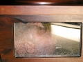 toilet-slave-23